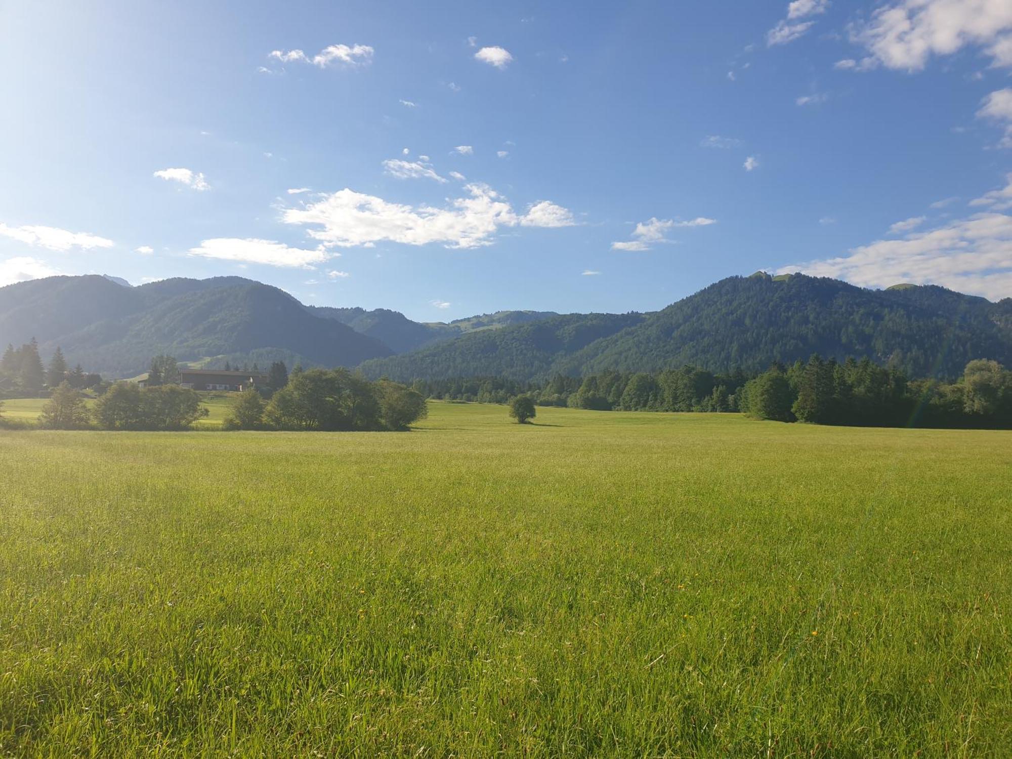 Appartementhaus Huettenberger Erpfendorf Eksteriør bilde