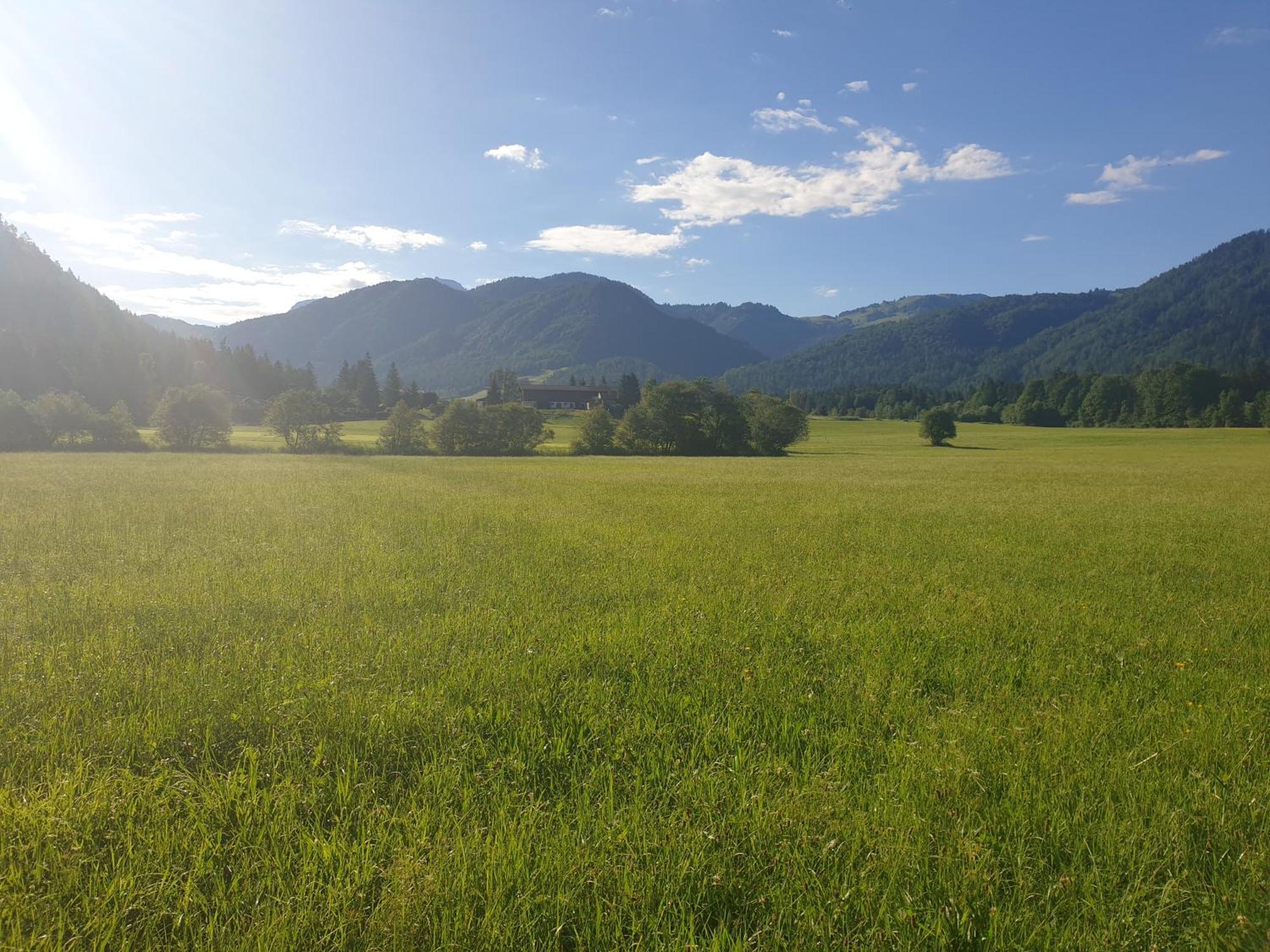 Appartementhaus Huettenberger Erpfendorf Eksteriør bilde