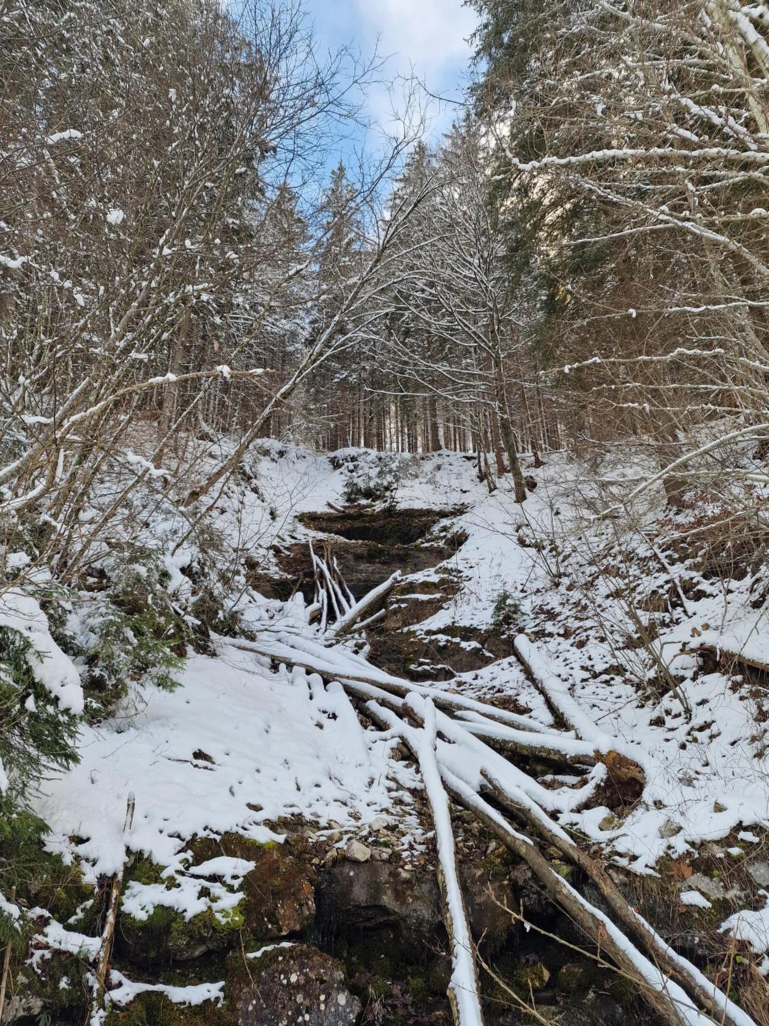 Appartementhaus Huettenberger Erpfendorf Eksteriør bilde