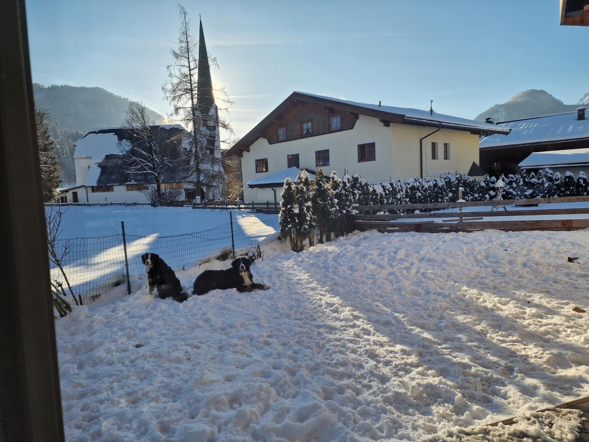 Appartementhaus Huettenberger Erpfendorf Eksteriør bilde